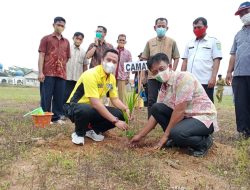 Sambut HUT Muba dan HTN, Kecamatan Sungai Lilin Tanam 4500 Batang Bibit Pinang