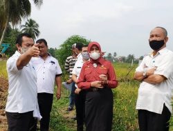 Plt Kadisdagperin Muba Tinjau Lokasi Pendirian Pembangunan Rumah Gambo