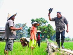 Warganet Hingga Tokoh Nasional Banjiri Ucapan Ultah Bupati Muba DRA