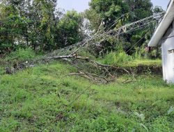 Tower Desa Roboh, Kades Teladan : Itu Roboh Karena Ditimpah Kayu