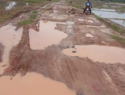 Memperihatinkan Akses Jalan Penghubung Desa di OKU Timur Seperti Kubangan Kerbau