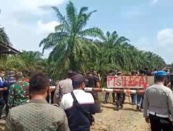 Konflik Perkebunan PT. Kaswari Unggul Digugat di Pengadilan