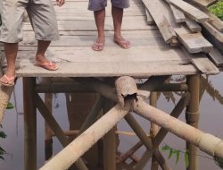 Jembatan Desa Bumi Agung Putus Dinas Terkait Tutup Mata