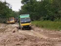 Warga Keluhkan Akses Jalan Penghubung di Kecamatan Jayapura Hingga Saat Ini Tidak Ada Perbaikan