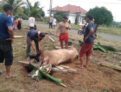 Pemkab OKU Timur, Qurban 27 Ekor Sapi