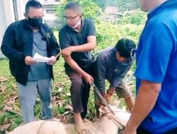 Ditengah Pandemi, PWI Muba Berbagi Dagi­ng Qurban