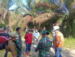 Bupati HDS Cek Lokasi Pembukaan Jalan Baru Penghubung Desa Belani dan Batu Kucing