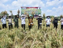 Pemkab Muba Wujudkan Petani Mandiri dan Melek Teknologi Bersama Tim IPB