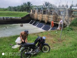 Ditutup : Saluran Air Tanggul Irigasi Komering, Warga Beramai-Ramai Cari Ikan