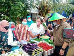 Gubernur Herman Deru, Apresiasi Petani Cabai di Desa Sukanegara OKU Timur