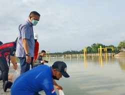 Dinas Perikanan Muba Tebar 40 Ribu Benih Ikan