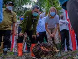 Duta Besar Norwegia Kunjungi Petani Sawit Musi Banyuasin