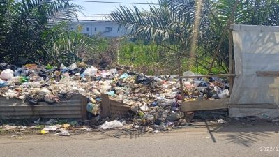 Krisis Penanganan, Warga Keluhkan Sampah Menumpuk dan Berserakan di Tegal Binangun Banyuasin
