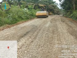 Diduga Dampak Penghentian Kegiatan Hauling Sopir Angkutan Batu Bara Asli Warga Nibung Terancam Ngangur