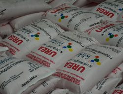 Diduga Pungli Pupuk Bersubsidi Untuk Setor Pada Dinas Pertanian OKU Timur