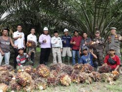 Pj Bupati Apriyadi Sambangi Petani Sawit di Desa Sidorejo Keluang