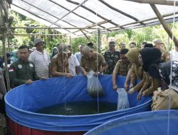 HDS Launching Kelompok Budidaya Ikan Lele di Desa Lubuk Kemang