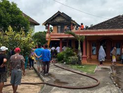 Sijago Merah Lalap Rumah Dua Lantai di Kecamatan BMR