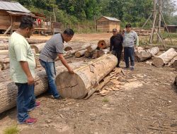 Gerak Cepat! Dapati Laporan Masyarakat, Polres Muba Langsung Tinjau Lokasi Sawmil