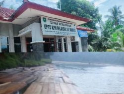 Dugaan Kades dan KPH Wilayah XIV Rawas Terlibat Kejahatan Terorganisir, Warga Minta APH Turun Tangan
